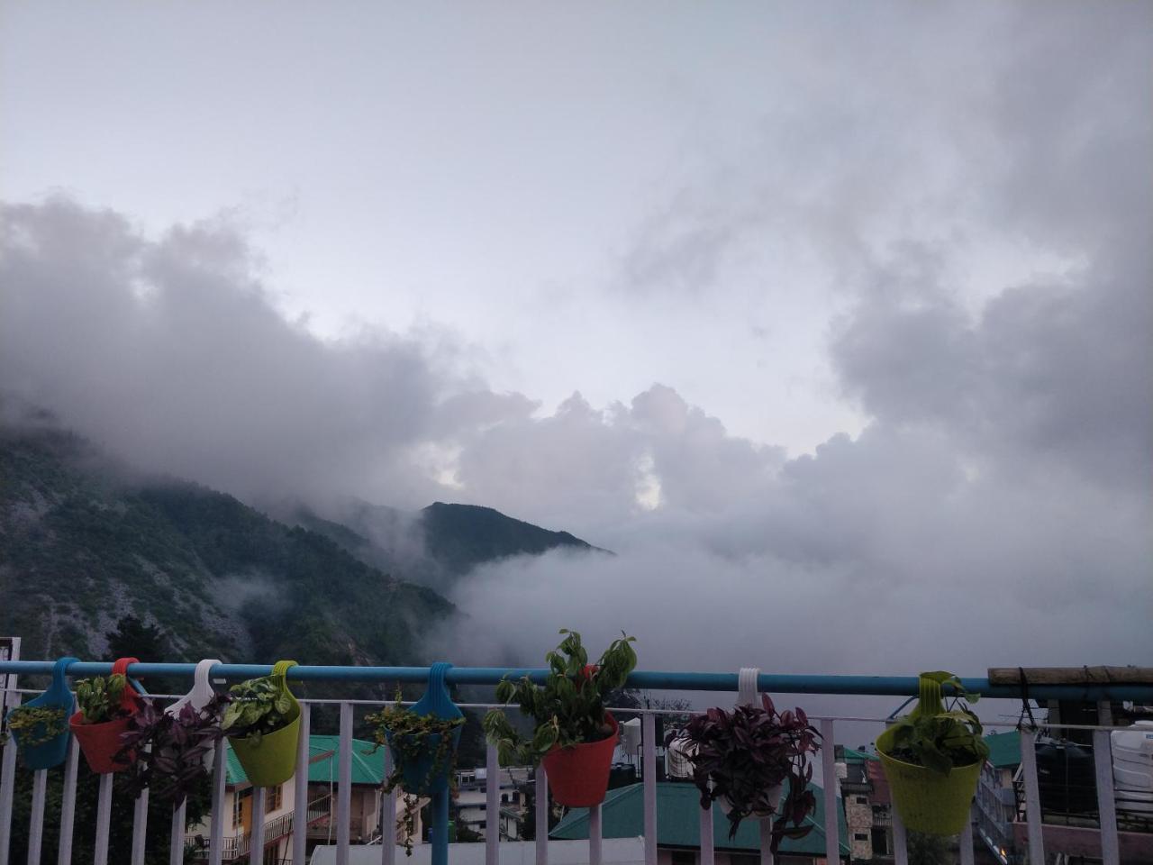 Triangle Folks, Mcleodganj Hostel *