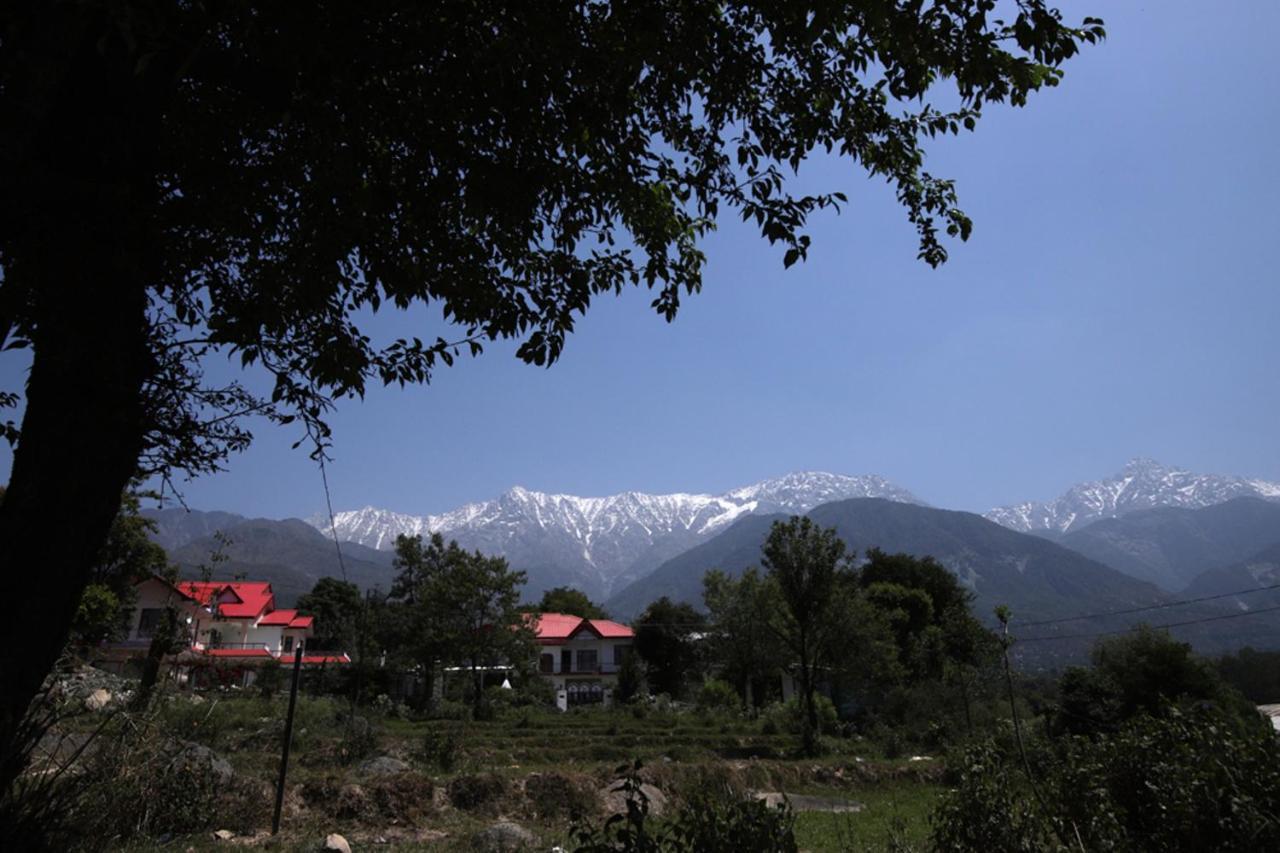 Harmony Blue Mcleodganj Hotel