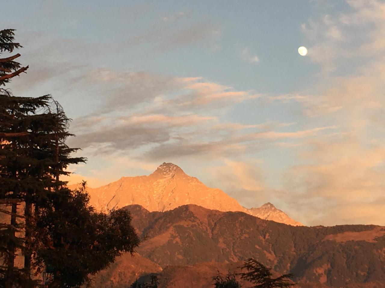 Hotel Norbu House McLeod Ganj