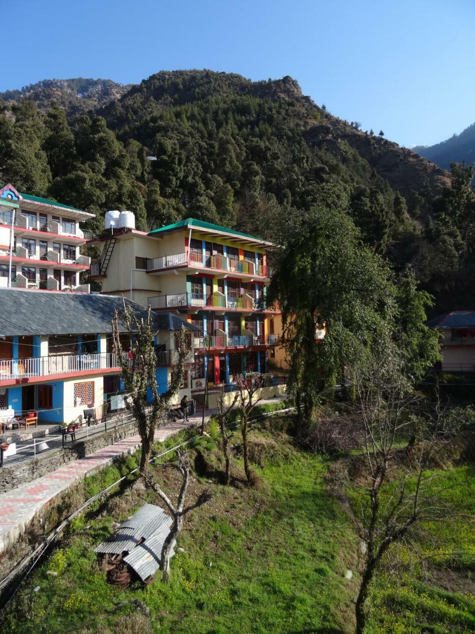 La Vaca India Mcleodganj *