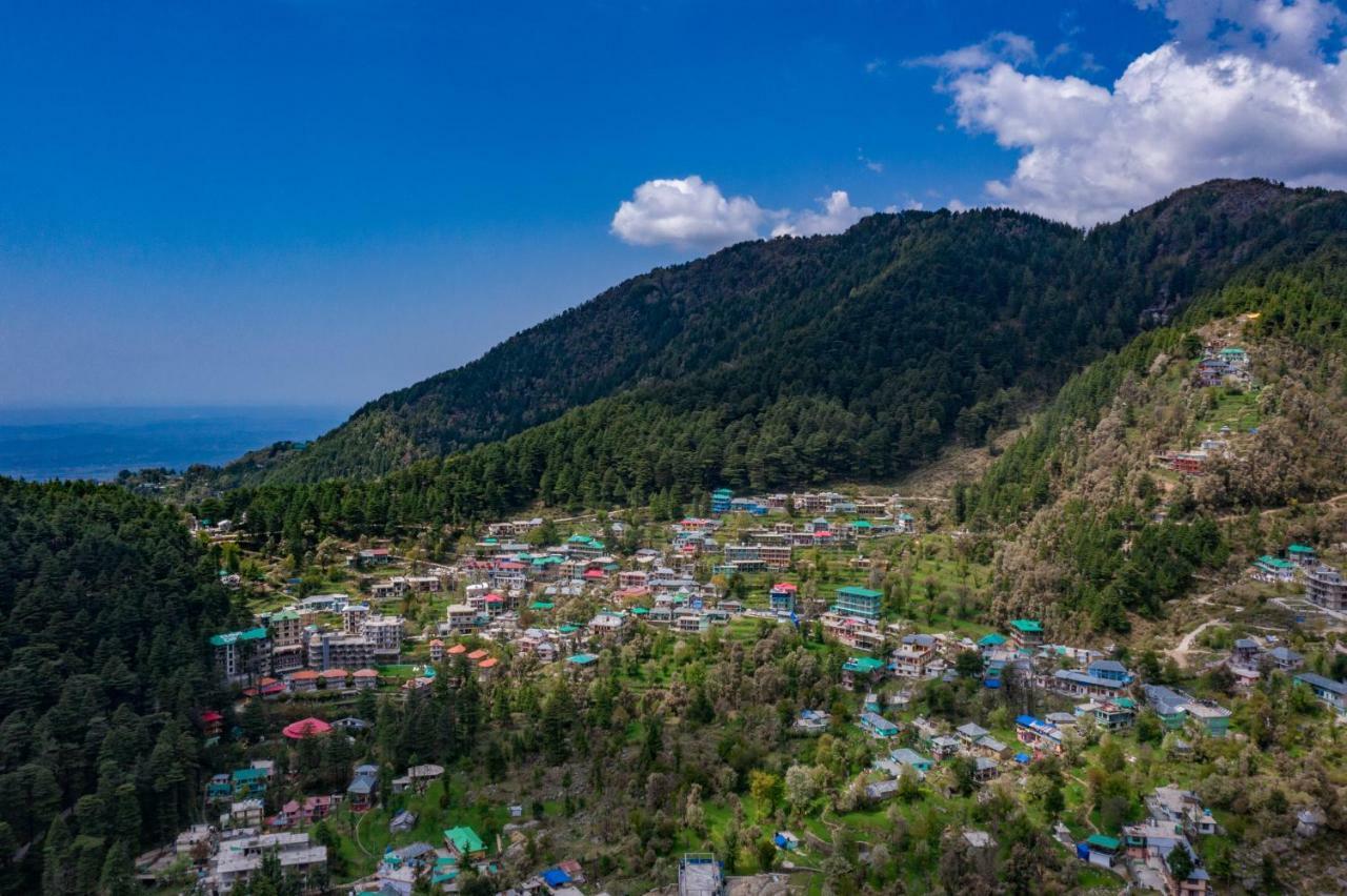 Alt Life - Dharamkot McLeod Ganj