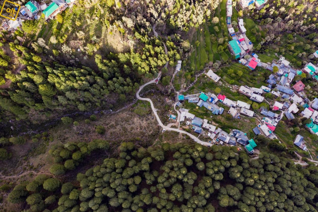 Alt Life - Dharamkot Hostel McLeod Ganj