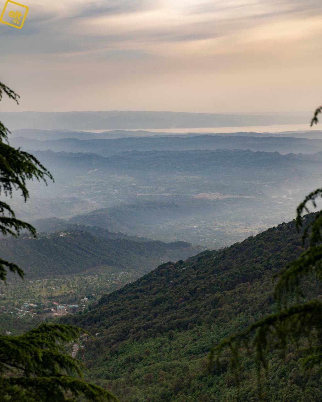 Alt Life - Dharamkot