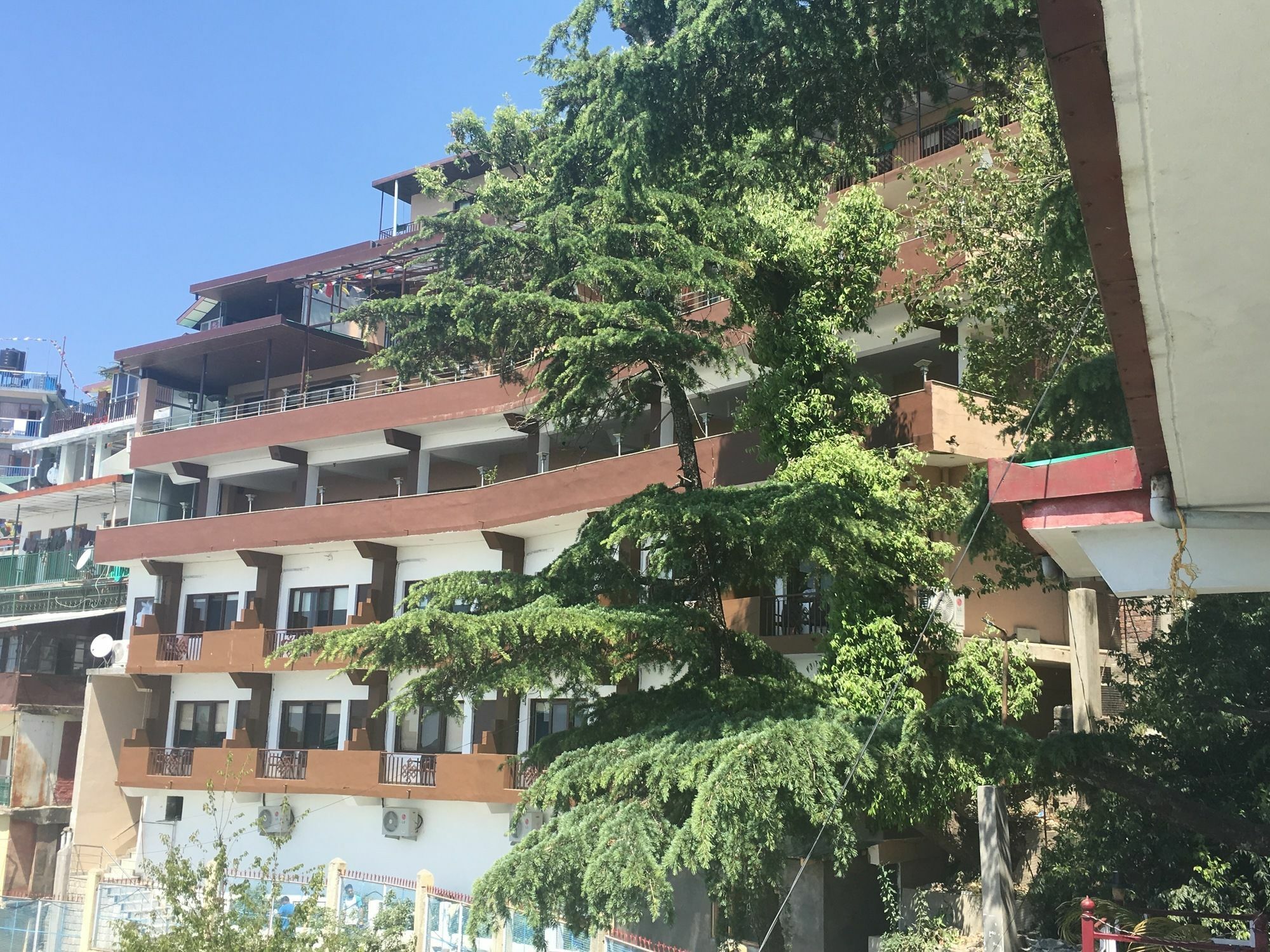 Norbu House McLeod Ganj