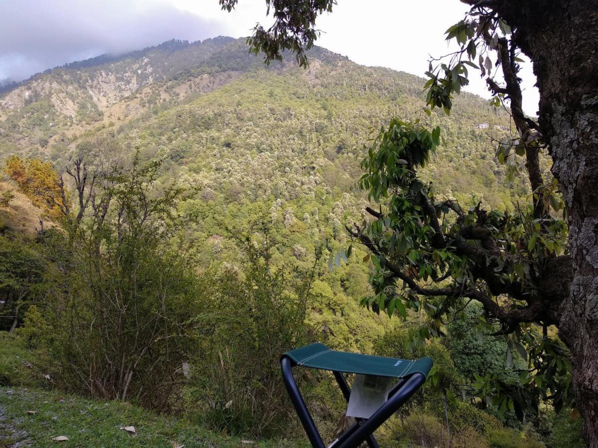 Ara Camps