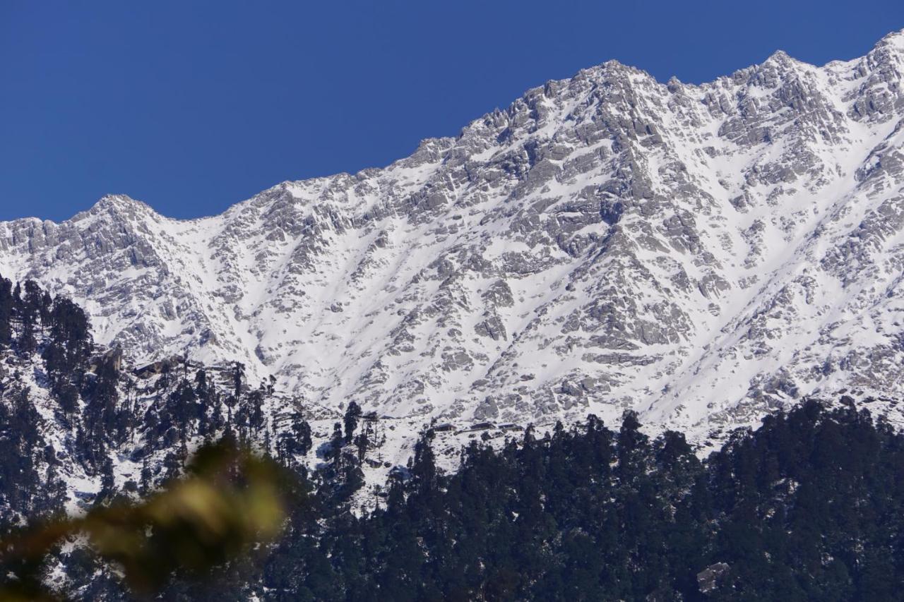 Ram Yoga House Guest house McLeod Ganj
