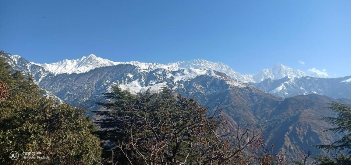 Guest house Ram Yoga House McLeod Ganj