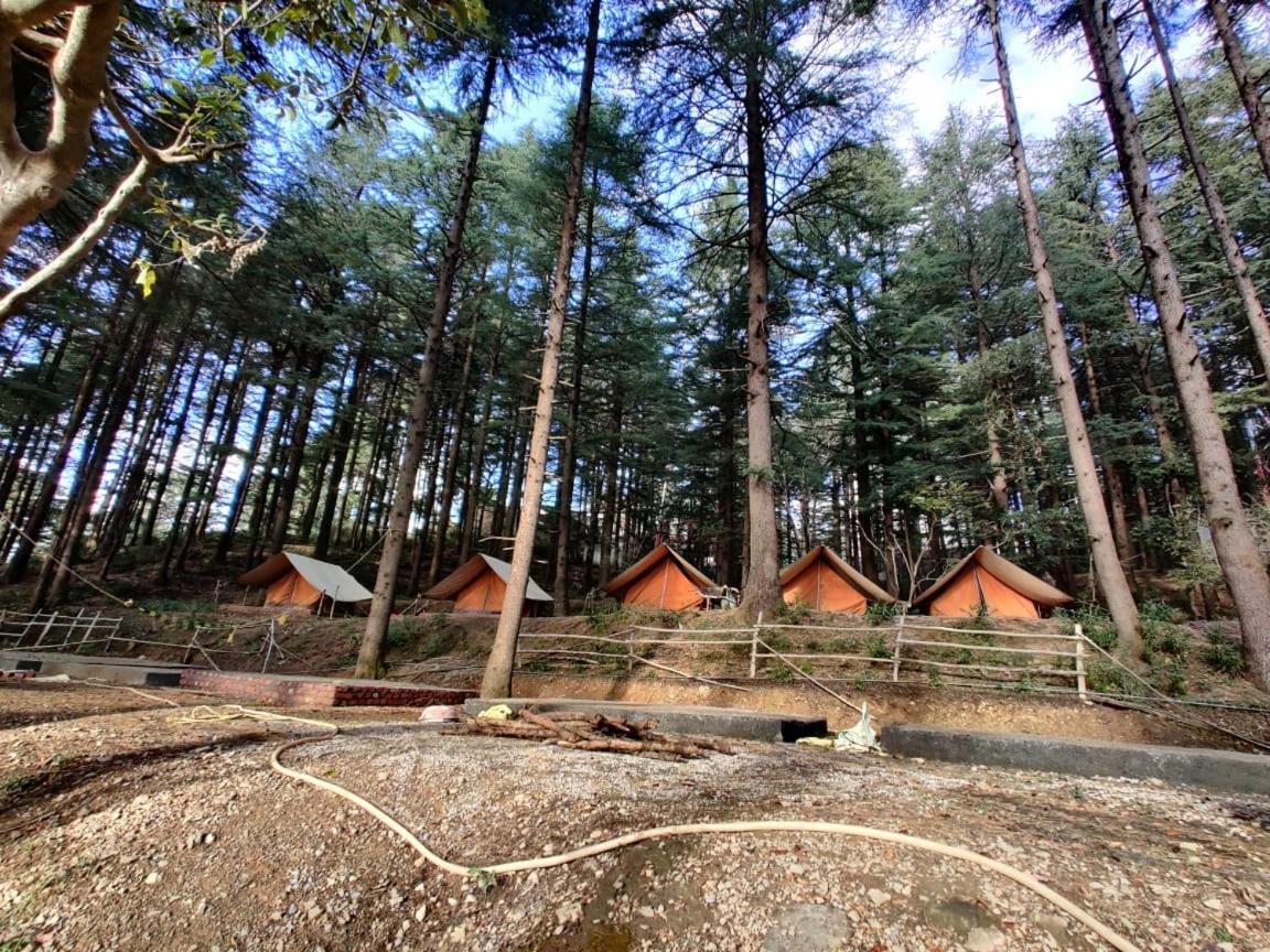 Himtrek Adventure Camps Mcleodganj