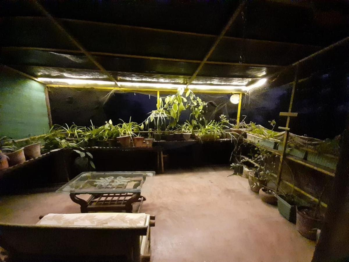Mcleodganj Bed & Breakfast McLeod Ganj