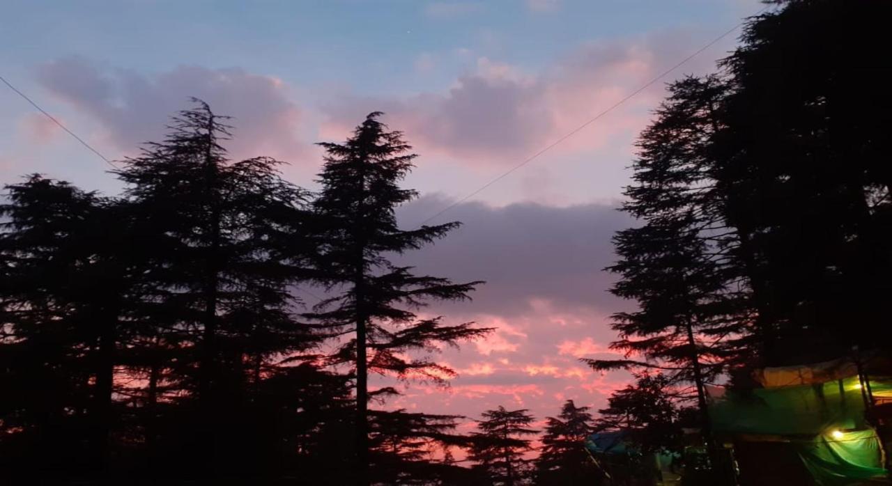 Bed & Breakfast Mcleodganj McLeod Ganj